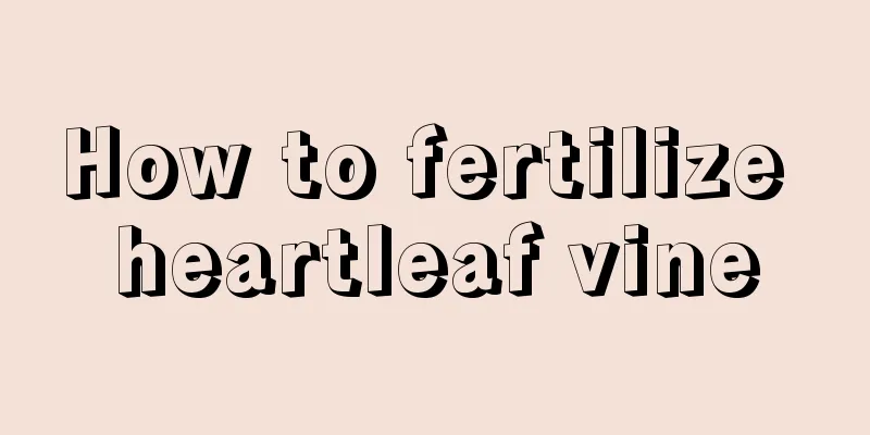 How to fertilize heartleaf vine