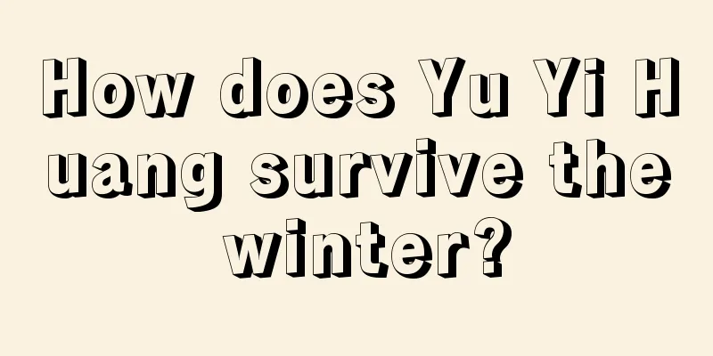 How does Yu Yi Huang survive the winter?