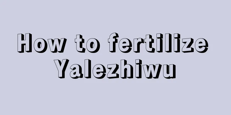 How to fertilize Yalezhiwu