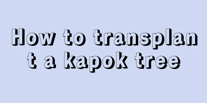 How to transplant a kapok tree