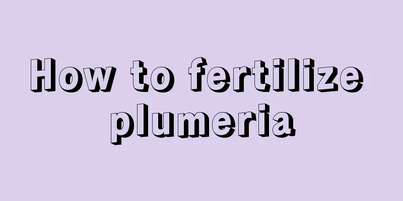 How to fertilize plumeria