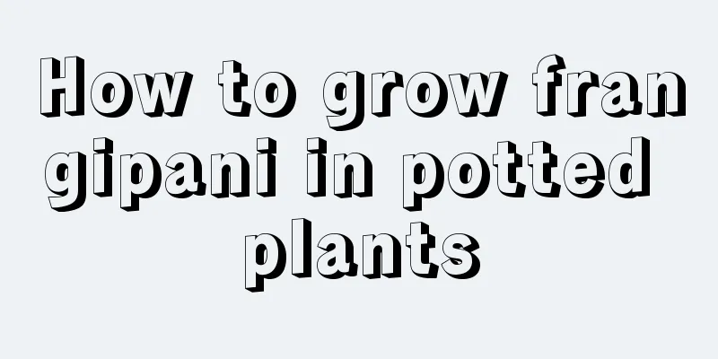 How to grow frangipani in potted plants