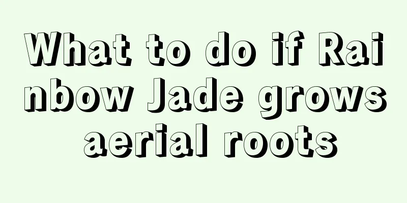 What to do if Rainbow Jade grows aerial roots