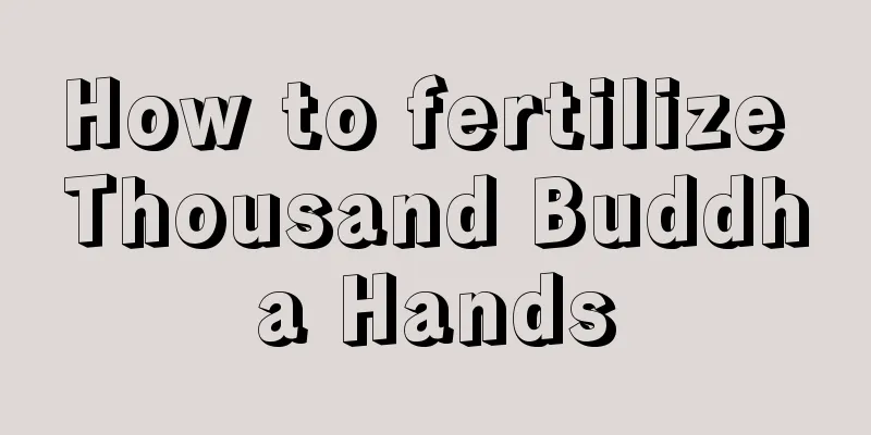 How to fertilize Thousand Buddha Hands