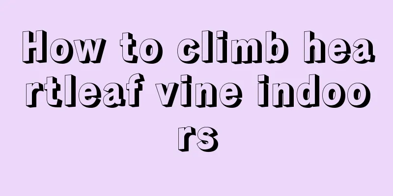 How to climb heartleaf vine indoors