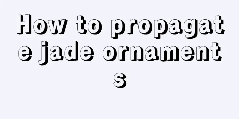 How to propagate jade ornaments