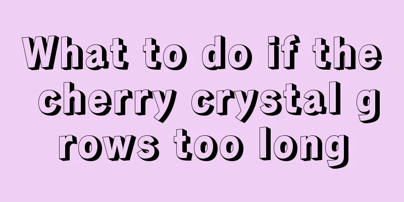 What to do if the cherry crystal grows too long