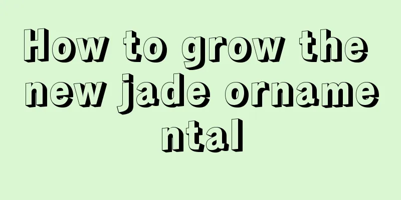 How to grow the new jade ornamental