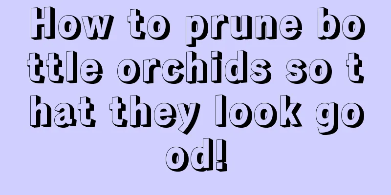 How to prune bottle orchids so that they look good!