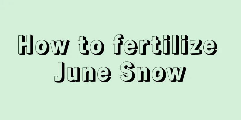 How to fertilize June Snow