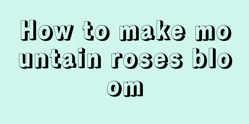 How to make mountain roses bloom