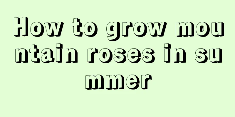 How to grow mountain roses in summer