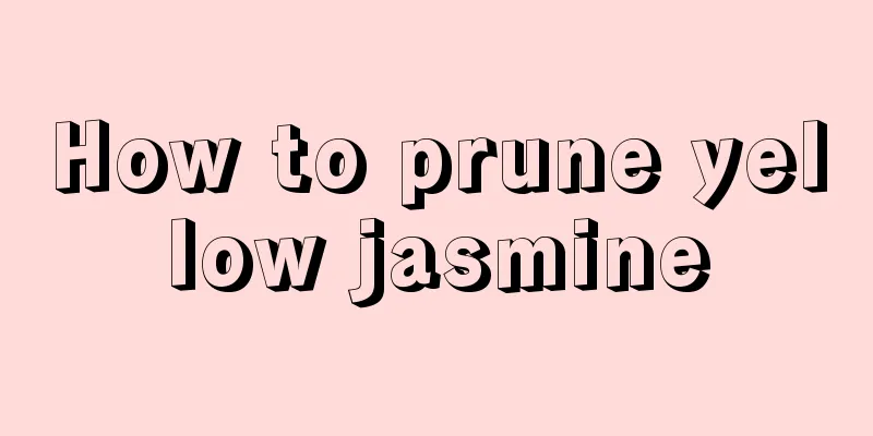 How to prune yellow jasmine