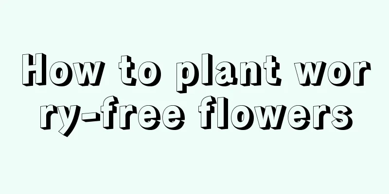 How to plant worry-free flowers