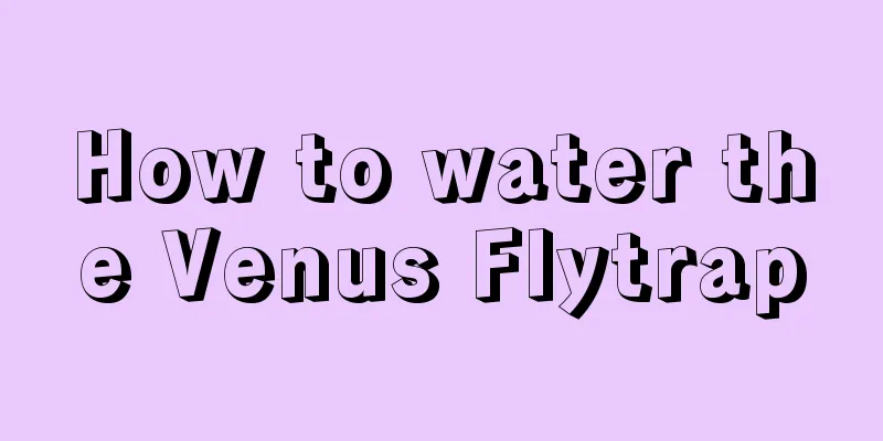 How to water the Venus Flytrap