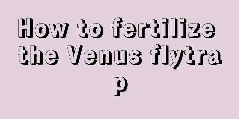 How to fertilize the Venus flytrap