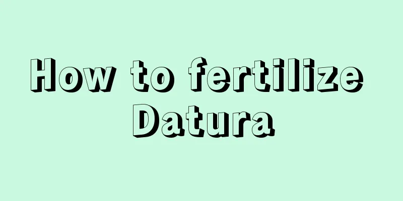 How to fertilize Datura