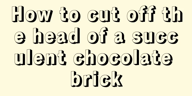 How to cut off the head of a succulent chocolate brick