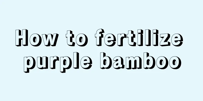 How to fertilize purple bamboo