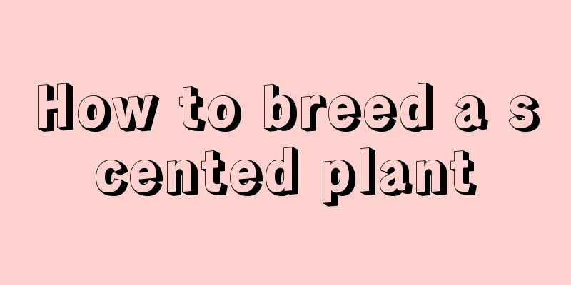 How to breed a scented plant