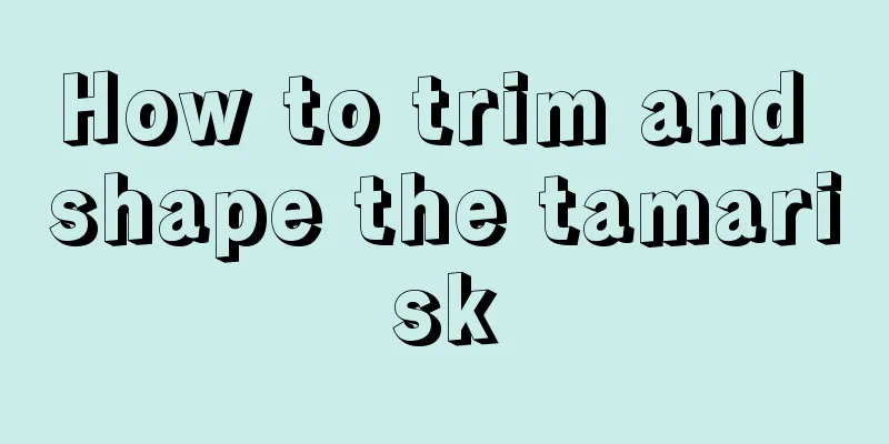 How to trim and shape the tamarisk