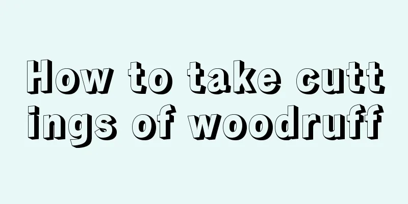 How to take cuttings of woodruff