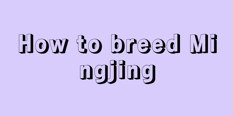 How to breed Mingjing