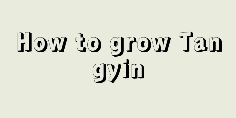 How to grow Tangyin