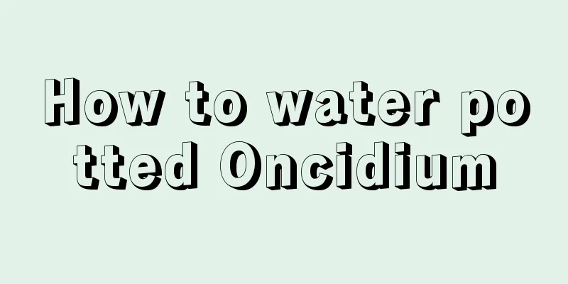 How to water potted Oncidium