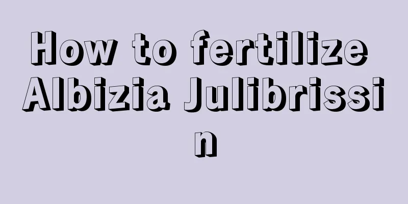 How to fertilize Albizia Julibrissin