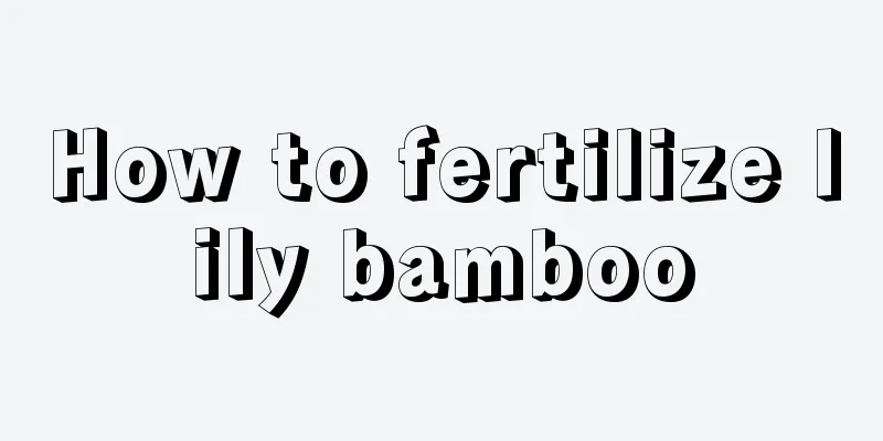 How to fertilize lily bamboo