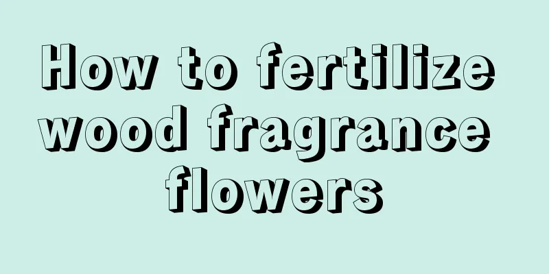 How to fertilize wood fragrance flowers