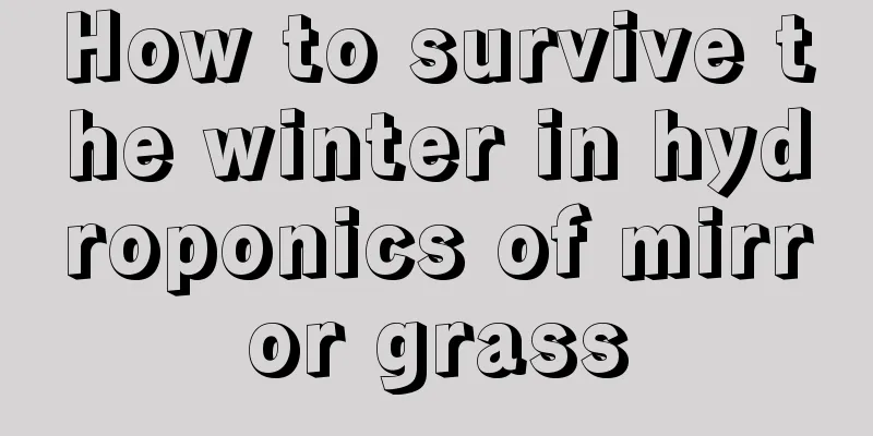 How to survive the winter in hydroponics of mirror grass