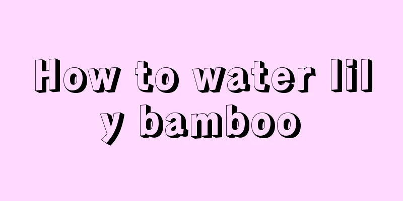 How to water lily bamboo