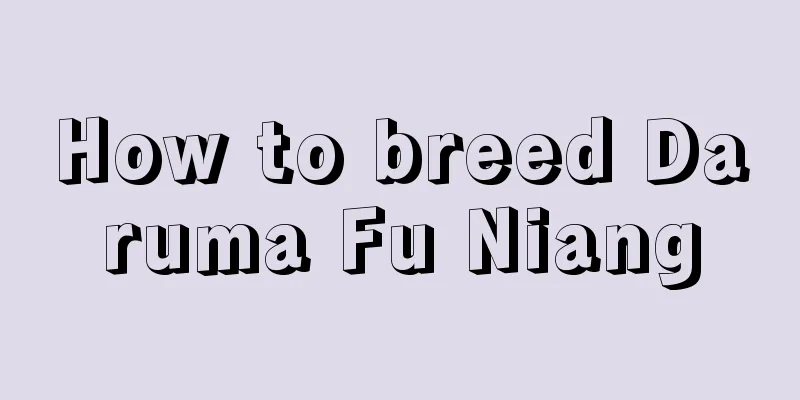 How to breed Daruma Fu Niang