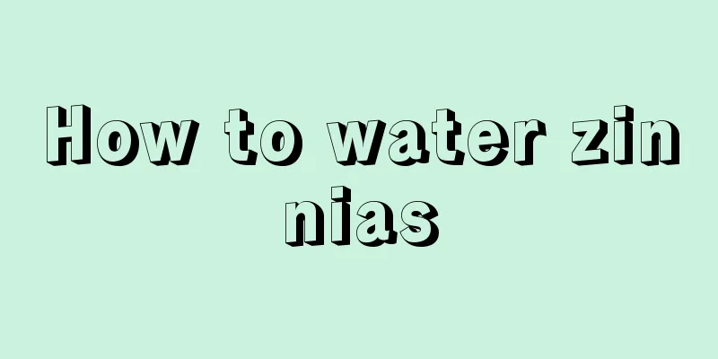 How to water zinnias