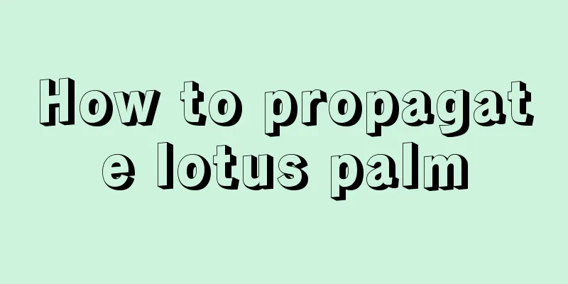 How to propagate lotus palm