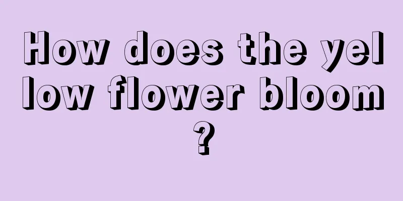 How does the yellow flower bloom?