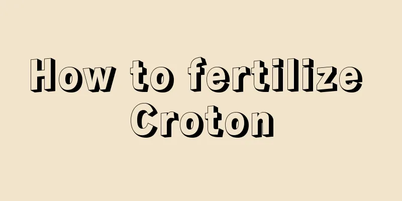 How to fertilize Croton