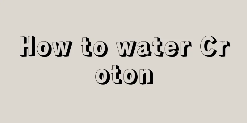 How to water Croton