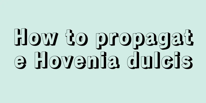 How to propagate Hovenia dulcis