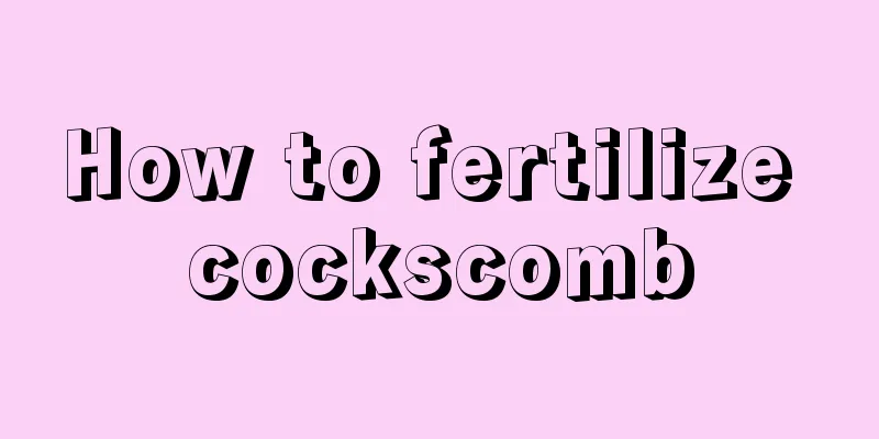 How to fertilize cockscomb