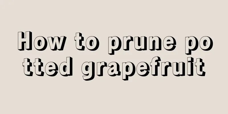 How to prune potted grapefruit