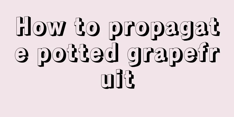 How to propagate potted grapefruit