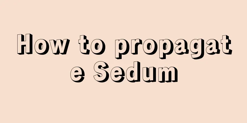 How to propagate Sedum