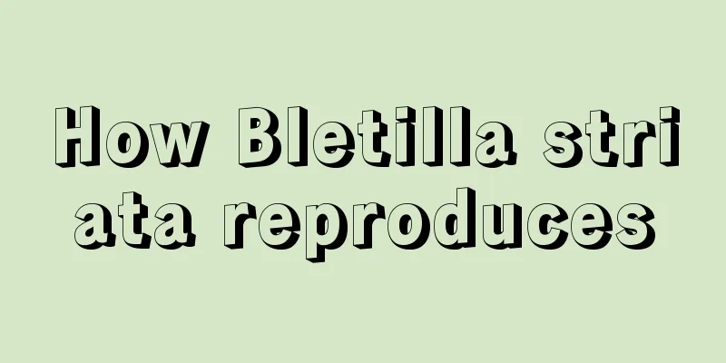 How Bletilla striata reproduces