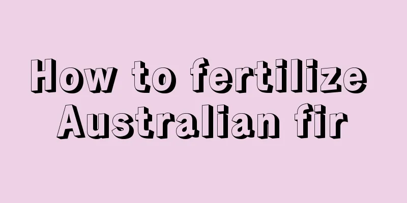 How to fertilize Australian fir