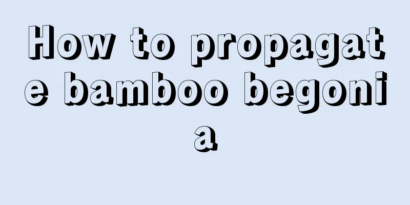 How to propagate bamboo begonia