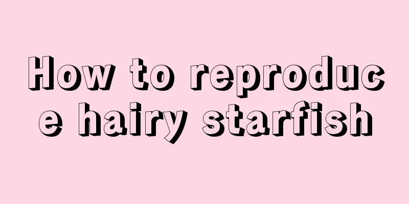 How to reproduce hairy starfish