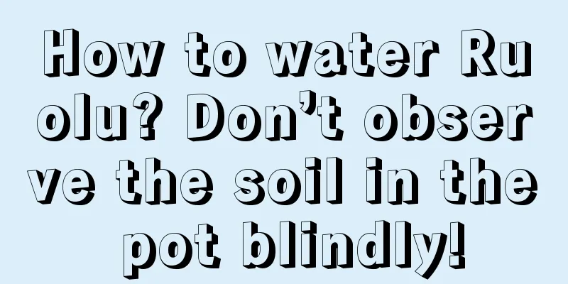 How to water Ruolu? Don’t observe the soil in the pot blindly!